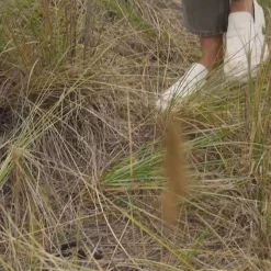 Hot EOS Footwear ADE